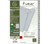 Intercalaires Exacompta 1720E - 20 Onglets A4 en Polypropylène Recyclé - Gris