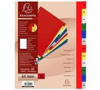 Exacompta Intercalaires mensuels A4+ en polypropylène, 12 divisions, assortis