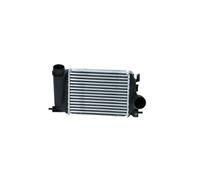 Intercooler Aile Soudée 282 Mm - 217 Mm NRF Pour Notamment RENAULT GRAND