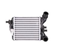 Intercooler DENSO DIT09111
