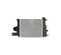 Intercooler, échangeur THERMOTEC DAR017TT