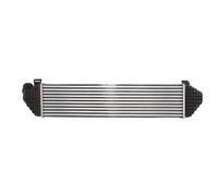 Intercooler, échangeur THERMOTEC DAV004TT