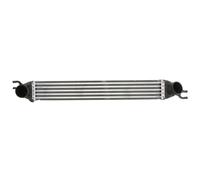 Intercooler MAGNETI MARELLI 351319204290