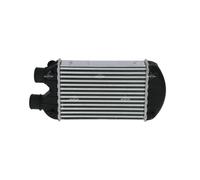 Intercooler NRF 30122A