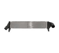 Intercooler NRF 30255