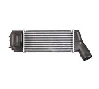 Intercooler NRF 30283