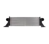 Intercooler NRF 30342