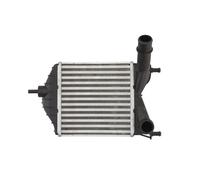Intercooler NRF 30862