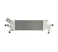 Intercooler NRF 309042