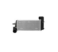 Intercooler NRF 30909