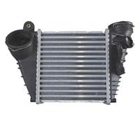 Intercooler Pour AUDI SEAT SKODA VW A3 BORA GOLF GOLF VAN LEON OCTAVIA TOLEDO