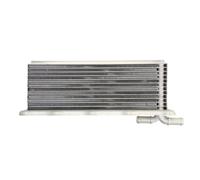 Intercooler THERMOTEC D4A031TT