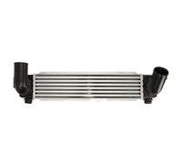 Intercooler THERMOTEC DA03004TT