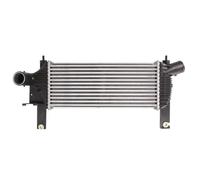 THERMOTEC DA1001TT Intercooler