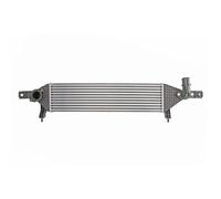 Intercooler THERMOTEC DA1004TT