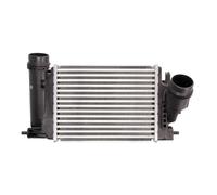 Intercooler THERMOTEC DA1005TT