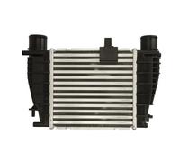 Intercooler THERMOTEC DA1008TT