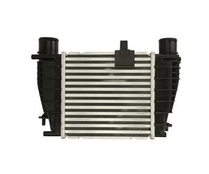Intercooler THERMOTEC DA1008TT