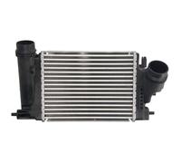 Intercooler THERMOTEC DA1009TT