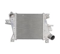 Intercooler THERMOTEC DA1011TT