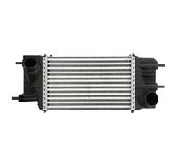 Intercooler THERMOTEC DA1013TT