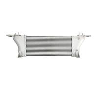 Intercooler THERMOTEC DA1015TT