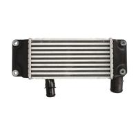 Intercooler THERMOTEC DA2005TT