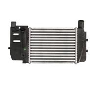 Intercooler THERMOTEC DA2008TT