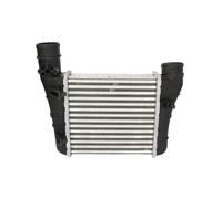 Intercooler THERMOTEC DAA003TT