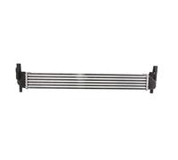 Intercooler THERMOTEC DAA005TT
