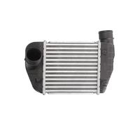 Intercooler THERMOTEC DAA013TT