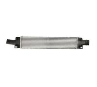 THERMOTEC DAA024TT Intercooler