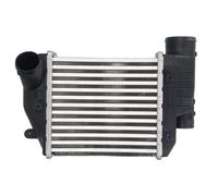 Intercooler THERMOTEC DAA026TT