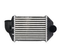 Intercooler THERMOTEC DAA028TT