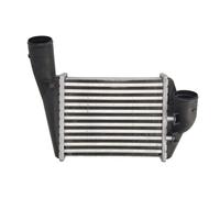 Intercooler THERMOTEC DAA029TT