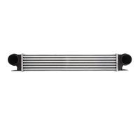 Intercooler THERMOTEC DAB006TT