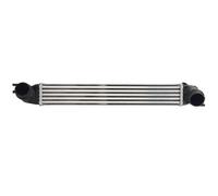 Intercooler THERMOTEC DAB022TT