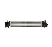 Intercooler THERMOTEC DAB024TT