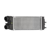 Intercooler THERMOTEC DAC002TT