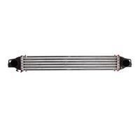 Intercooler THERMOTEC DAC008TT