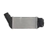 Intercooler THERMOTEC DAC017TT