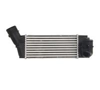 Intercooler THERMOTEC DAC018TT