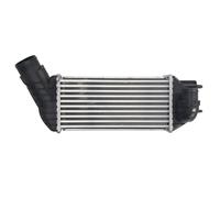 Intercooler THERMOTEC DAC019TT