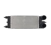 Intercooler THERMOTEC DAC020TT