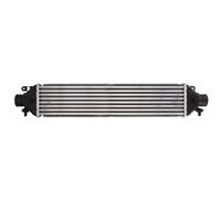 Intercooler THERMOTEC DAD002TT