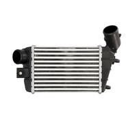 Intercooler THERMOTEC DAD003TT