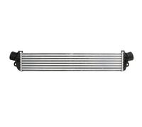 Intercooler THERMOTEC DAD006TT