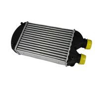 Intercooler THERMOTEC DAF002TT
