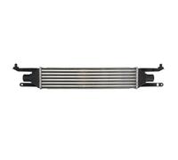 THERMOTEC DAF008TT Intercooler