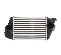 Thermotec Intercooler DAF009TT
